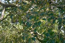 Image: Trevor James © Trevor James 